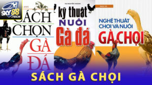Giới Thiệu Sách Gà Chọi Và Bí Quyết Chọn Chiến Kê Hay Nhất