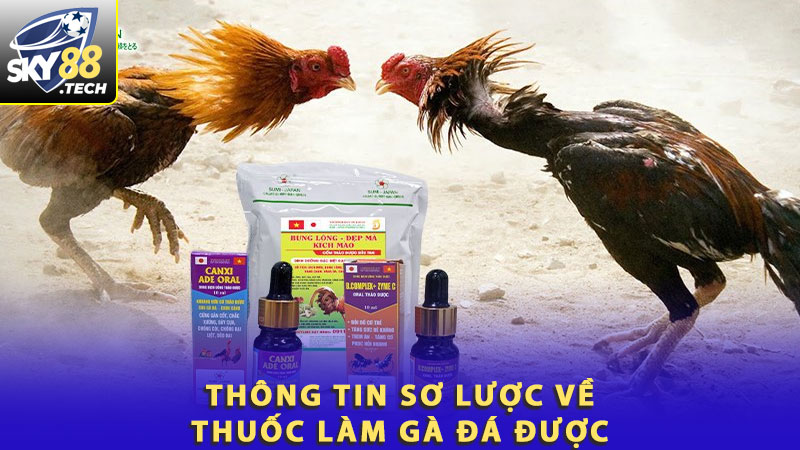 Thông tin sơ lược về thuốc làm gà không đá được