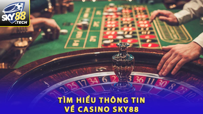Tìm hiểu thông tin về casino Sky88