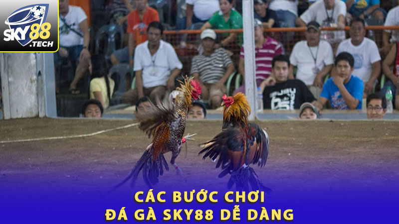 Các bước chơi đá gà Sky88 dễ dàng