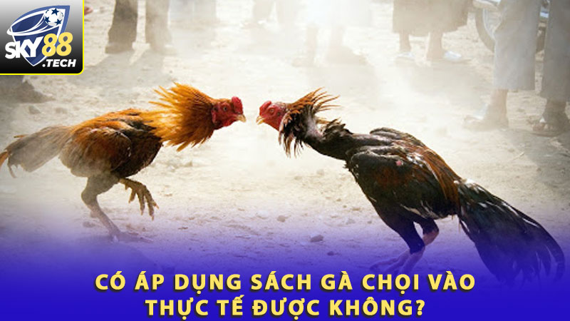 Có áp dụng sách gà chọi vào thực tế được không?
