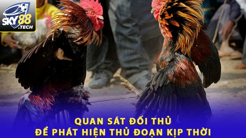 Quan sát đối thủ để phát hiện thủ đoạn kịp thời