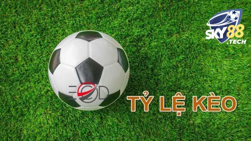 Tìm Hiểu Tỷ Lệ Kèo Bóng Đá & Bí Quyết Đặt Cược Thông Minh