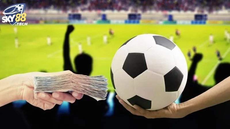 Cách soi kèo hiệu quả