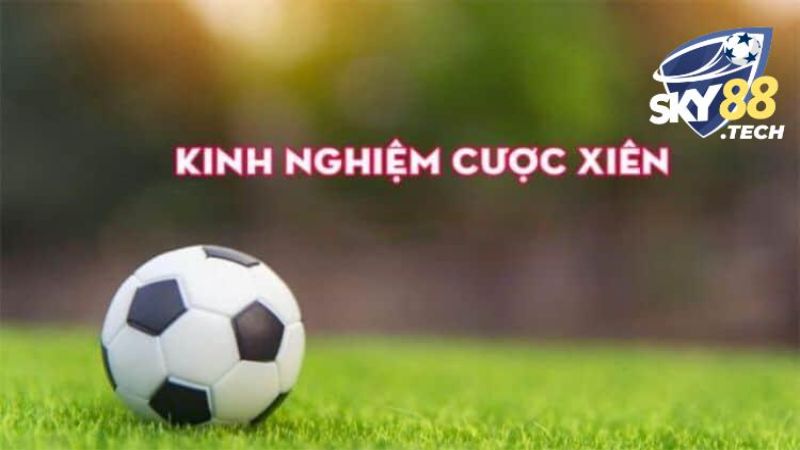Chọn địa chỉ học hỏi kinh nghiệm từ cao thủ
