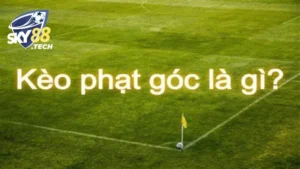 Kèo Phạt Góc - Loại Hình Đỉnh Cao Trong Cá Cược Bóng Đá