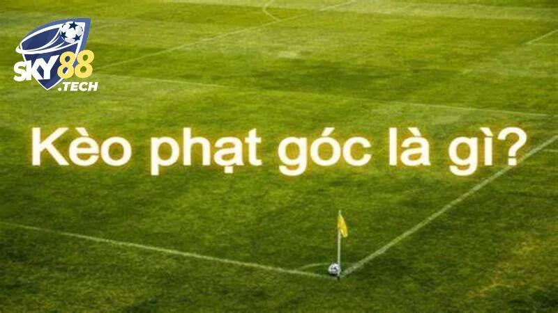 Kèo Phạt Góc - Loại Hình Đỉnh Cao Trong Cá Cược Bóng Đá