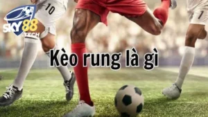 Kèo Rung - 4 Kinh Nghiệm Bắt Kèo Cực Hiệu Quả Từ Chuyên Gia
