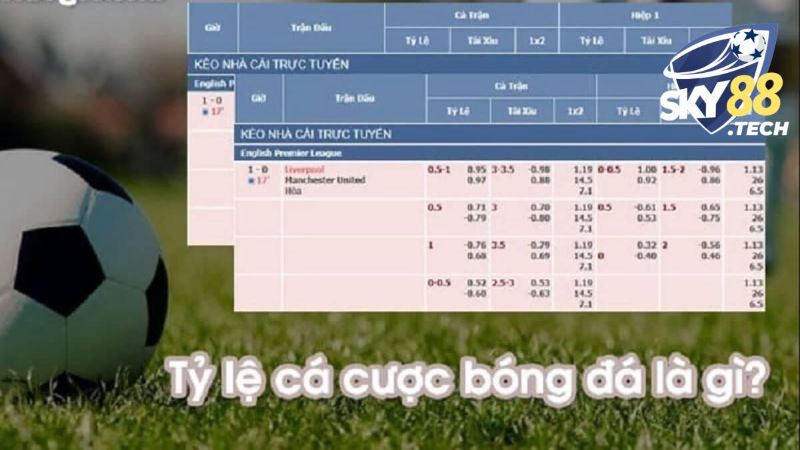 Trải nghiệm đặt kèo tại sân chơi SKY88 uy tín